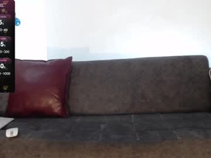 Screenshot from doglass_costa webcams