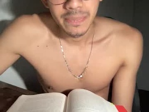 Screenshot from dominicmarles webcams