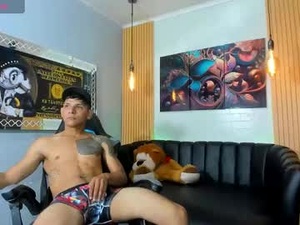 Screenshot from dominik_thomsonx webcams