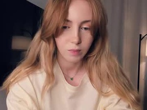 Screenshot from donaldgelabert webcams