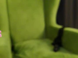 Screenshot from dorothymcdonald webcams