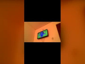 Screenshot from dotado2026 webcams