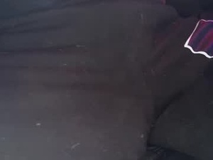 Screenshot from drdickforfun webcams