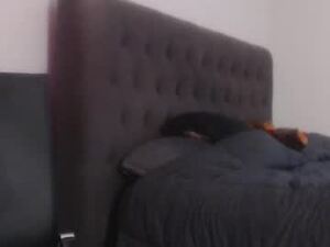 Screenshot from drstrokehard webcams