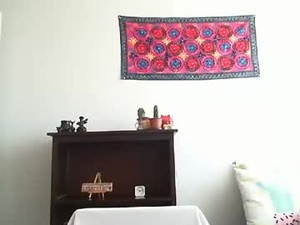 Screenshot from drumlin431 webcams