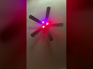 Screenshot from dubman38 webcams