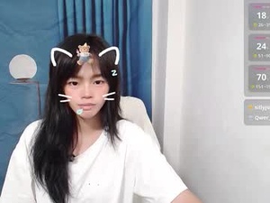 Screenshot from duolanei webcams