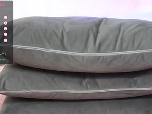 Screenshot from dusyastar webcams