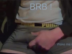 Screenshot from dutch20cock webcams