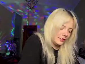 Screenshot from ebonidorset webcams
