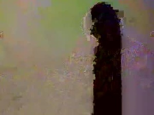 Screenshot from ed_flo webcams