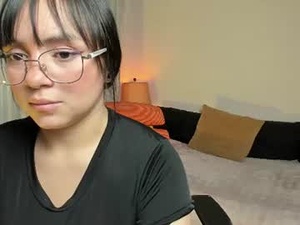 Screenshot from edeline19 webcams