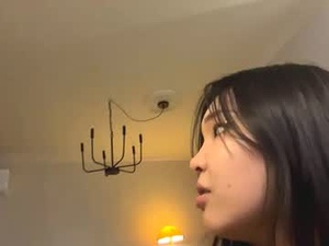 Screenshot from elfredaruckle webcams