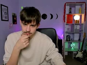 Screenshot from elion_flip webcams