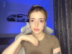 Screenshot from ellianagarnes webcams