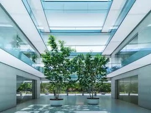 Screenshot from eng_spa webcams