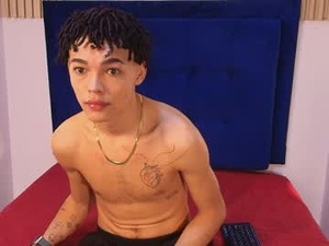 Screenshot from enyer_twin1 webcams