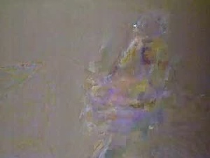 Screenshot from essex_85 webcams