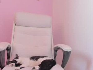 Screenshot from ethan_mullers1 webcams