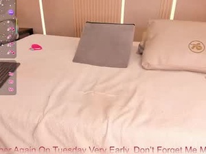 Screenshot from eva_layn webcams