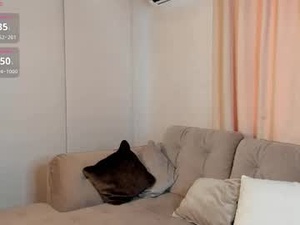 Screenshot from evablimey webcams
