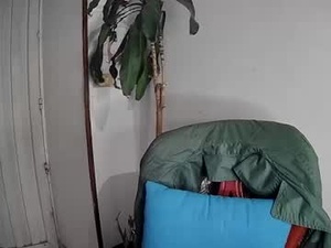 Screenshot from evacollins12 webcams