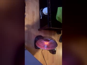 Screenshot from evafoxxxts webcams