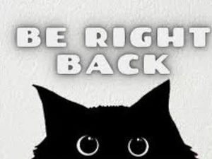 Screenshot from evagrase webcams