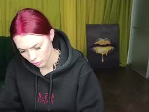 Screenshot from evamoshi webcams