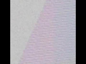 Screenshot from evangelinegraysin webcams