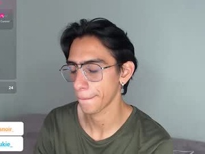 Screenshot from evansnoir webcams