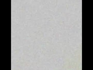Screenshot from exasperatedcunt webcams