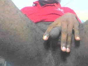 Screenshot from falin001 webcams
