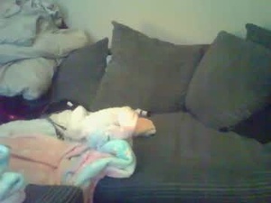 Screenshot from fireandice0101 webcams