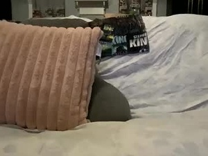 Screenshot from flacobule webcams