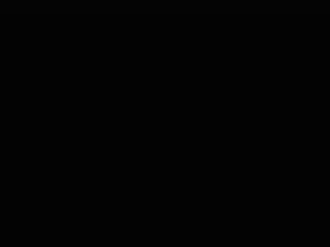 Screenshot from fledermausxy webcams