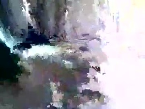 Screenshot from floridawood webcams