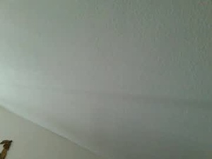 Screenshot from flotterfeger43 webcams