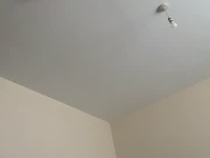 Screenshot from flyangelfly001 webcams