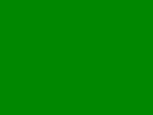Screenshot from fotzencommander webcams