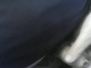 Screenshot from frakelvin webcams