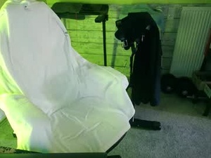 Screenshot from fraxxy webcams