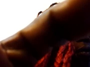 Screenshot from freakeazy webcams