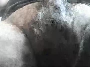 Screenshot from freedomwill2018 webcams