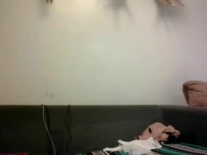 Screenshot from friskybee webcams