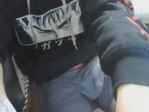 Screenshot from gabobad_ webcams