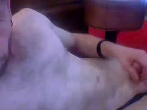 Screenshot from genomatik webcams
