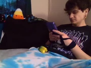 Screenshot from ghostcondor11 webcams