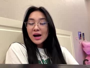 Screenshot from glenngauldin webcams