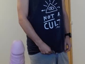 Screenshot from goddamndan webcams